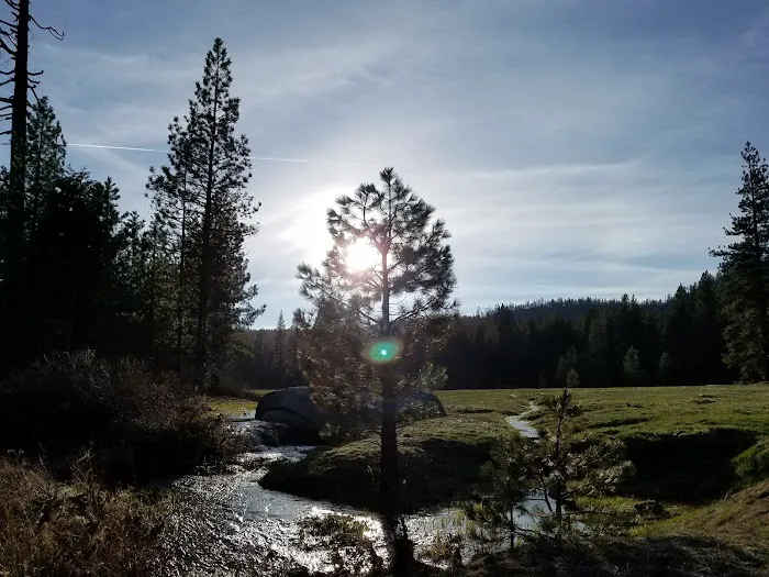 Princess Campground 7