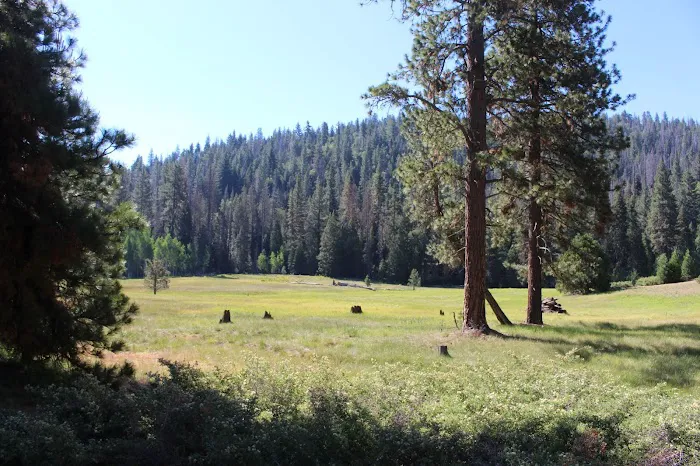 Princess Campground 5