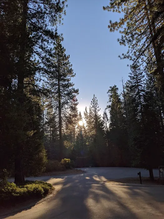 Princess Campground 3
