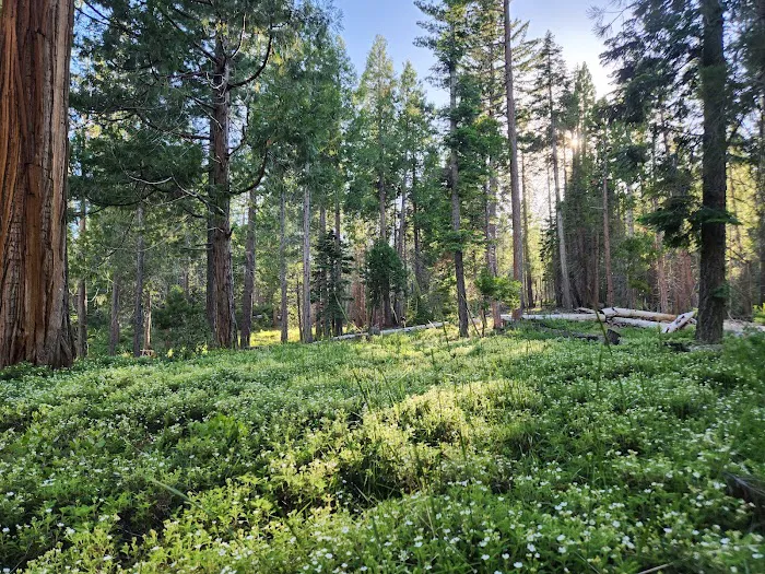 Princess Campground 8