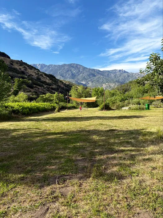 Kings Canyon Lodge 5