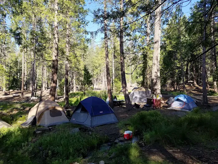 Landslide Campground 2
