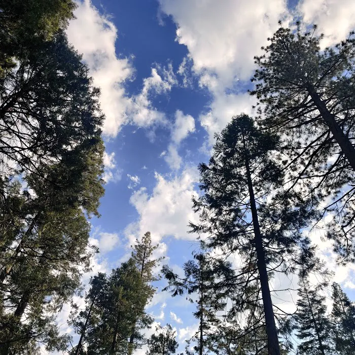 Landslide Campground 1