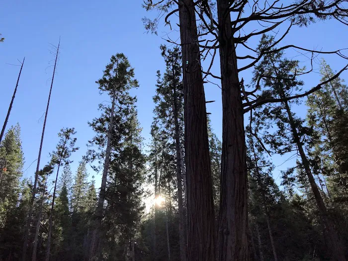 Landslide Campground 6