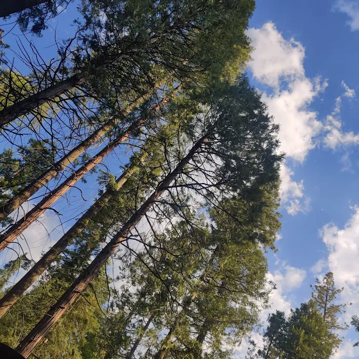 Landslide Campground 9