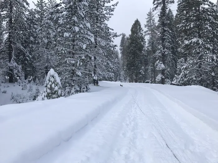 Tenmile Campground 0