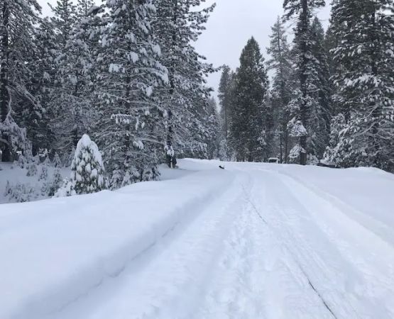 Tenmile Campground