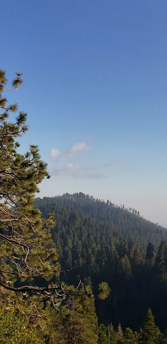 Tenmile Campground 2