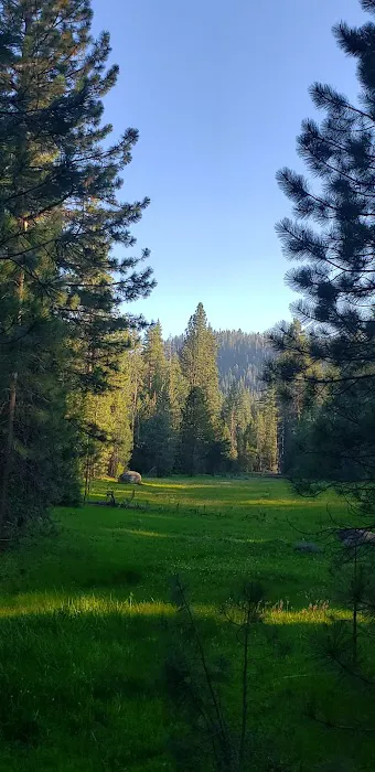 Tenmile Campground 6