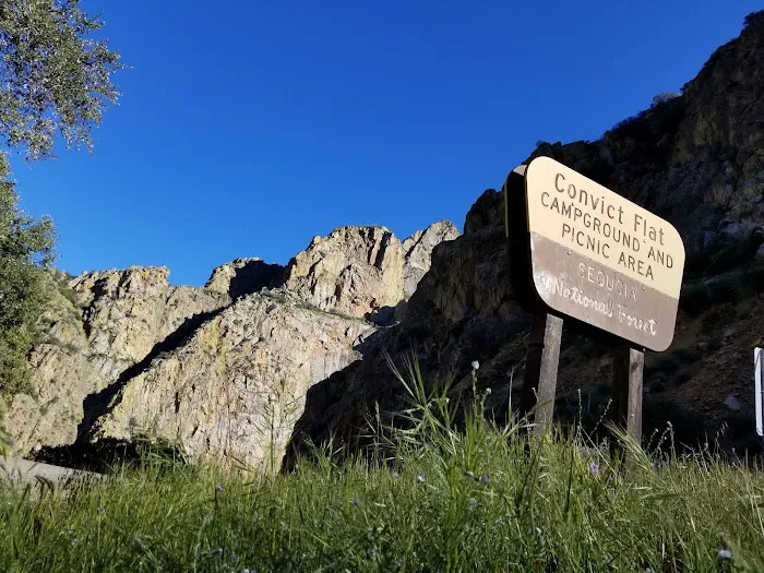 Convict Flat Campground 7