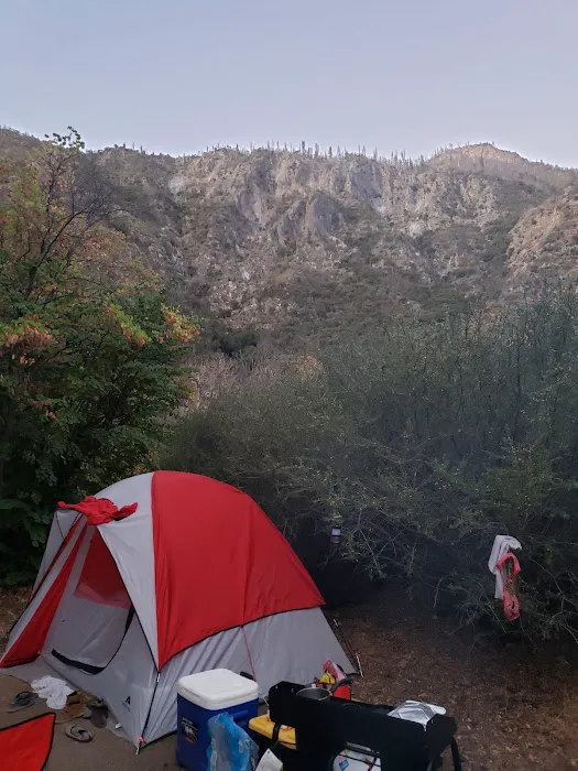 Convict Flat Campground 8