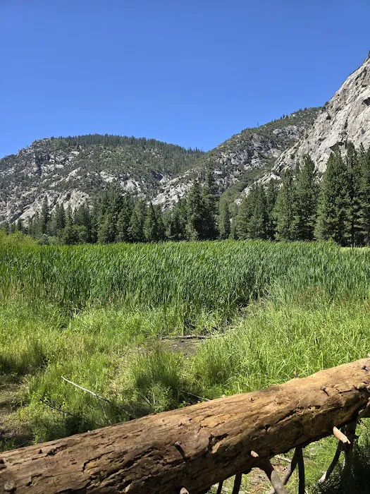 King's Canyon National Park Azalea Campground 4