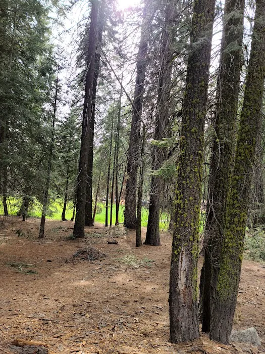 Sunset Campground 1