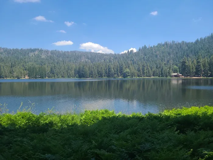 Sequoia Village 1