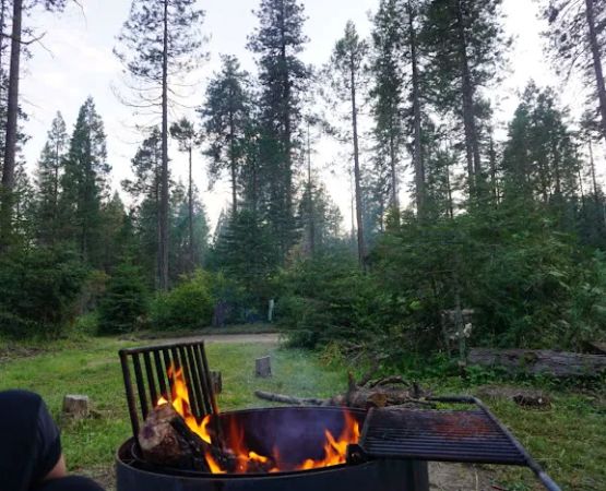 Eshom Campground