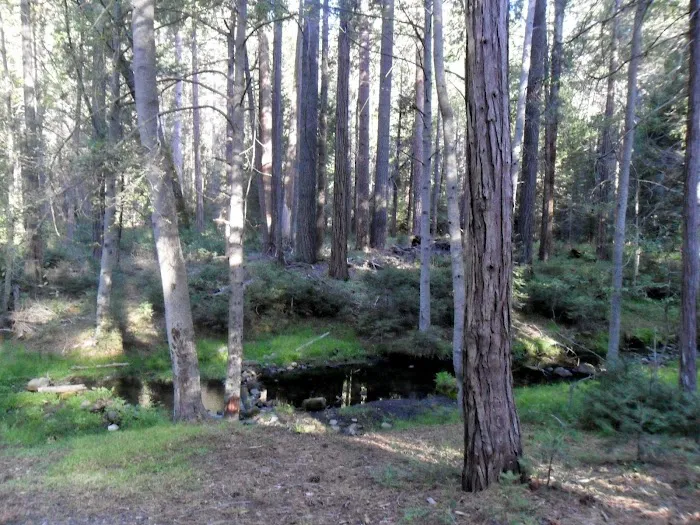 Eshom Campground 5
