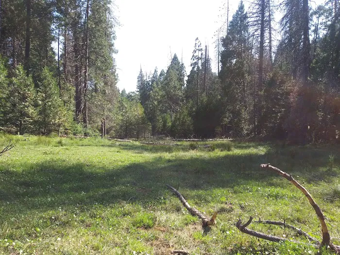 Eshom Campground 6
