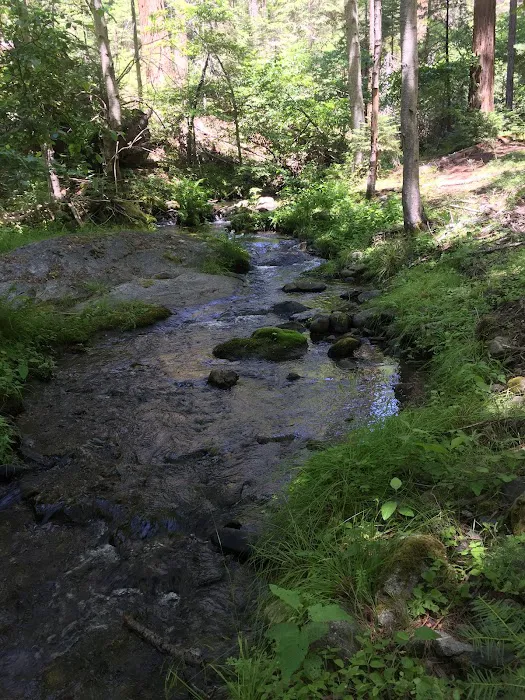 Eshom Campground 3