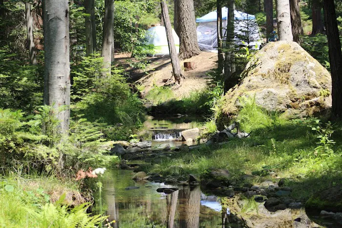 Eshom Campground 7