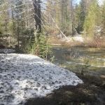 Buck Meadow Campground