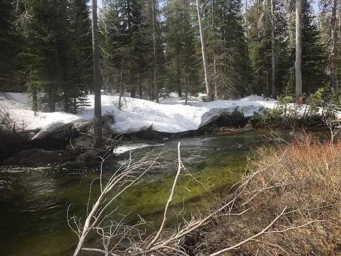 Buck Meadow Campground 4