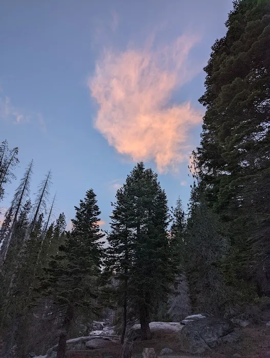 Buck Meadow Campground 6