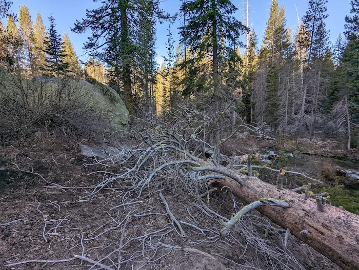 Buck Meadow Campground 3