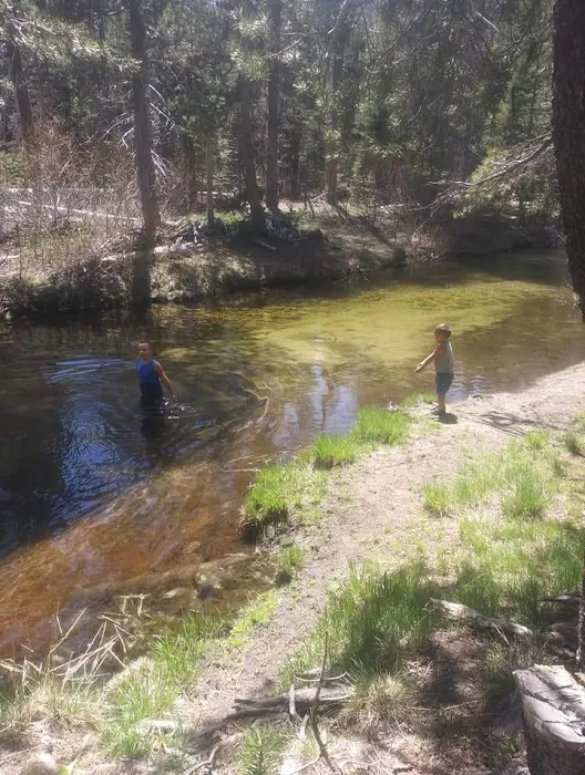 Buck Meadow Campground 9