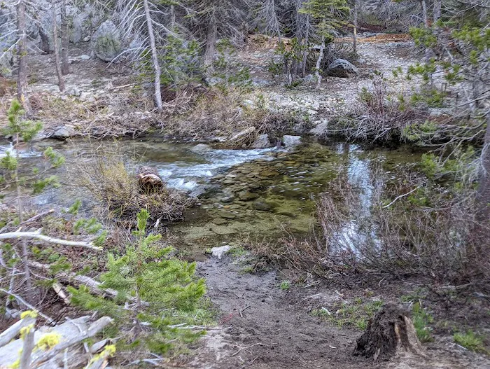 Buck Meadow Campground 8