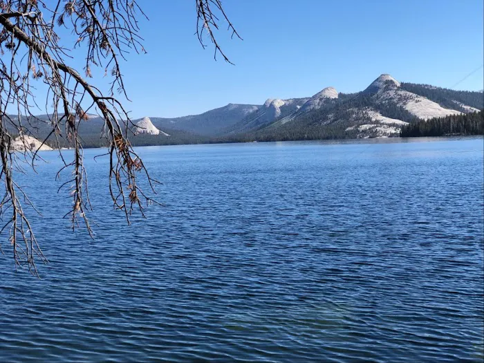 Trapper Springs Campground 0