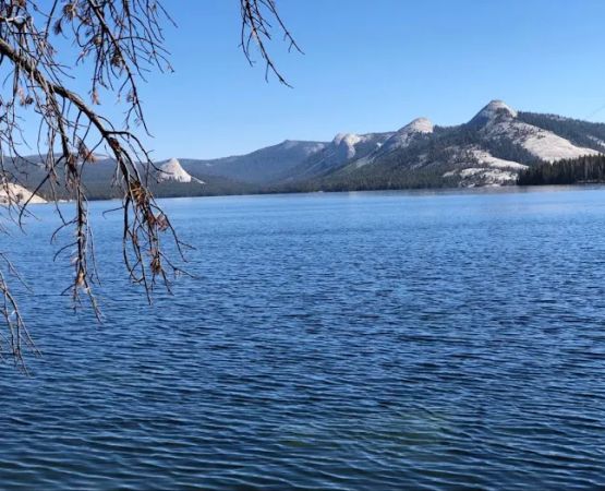 Trapper Springs Campground