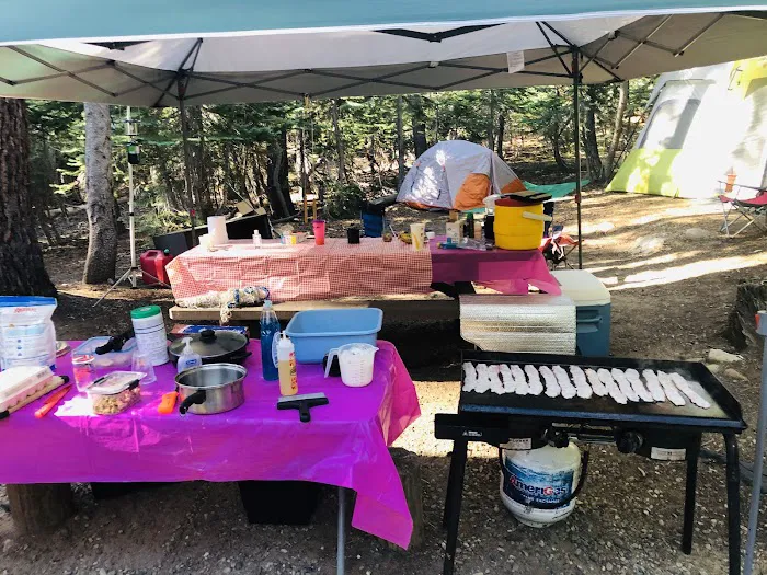 Trapper Springs Campground 2