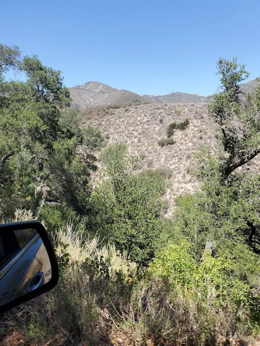 Davy Brown Campground 1