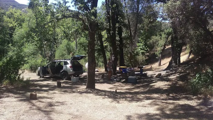 Davy Brown Campground 0
