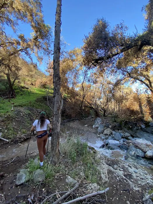 Davy Brown Campground 5