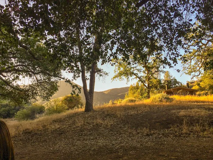 Davy Brown Campground 9