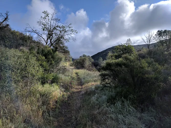 Potrero Camp 4