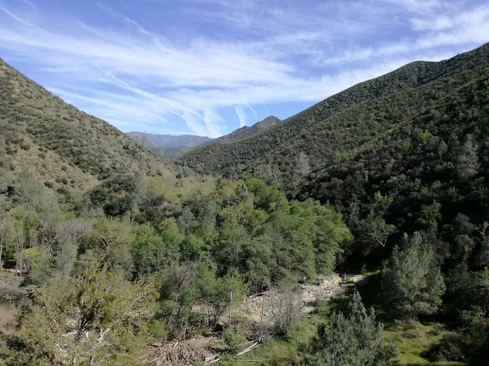Potrero Camp 9