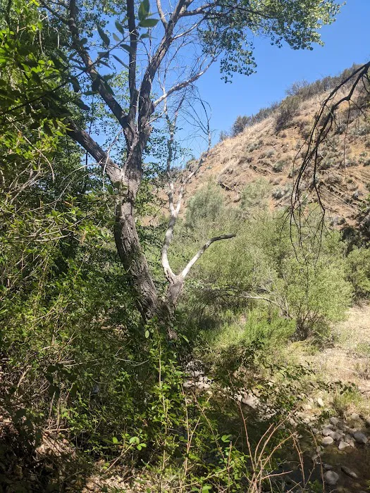 Nira Campground 7