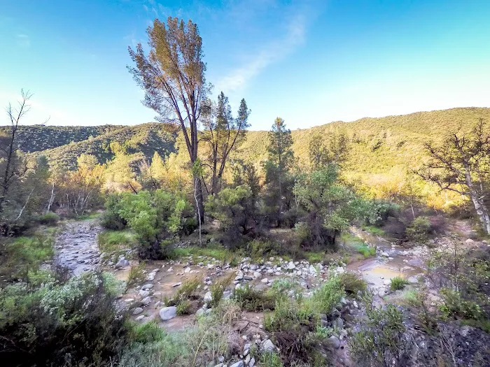 Nira Campground 8