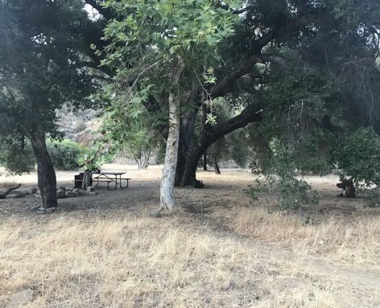 Coldwater Camp