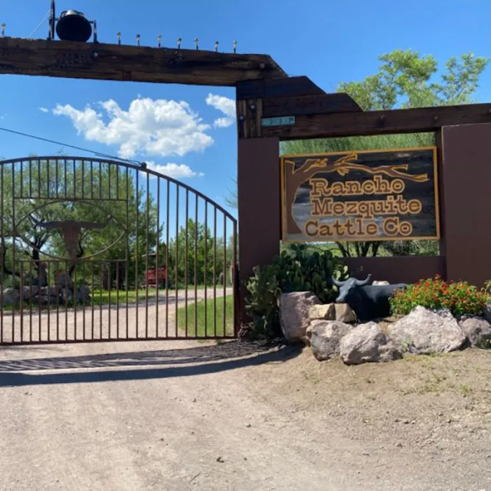 Mesquite Ranch Campground 2