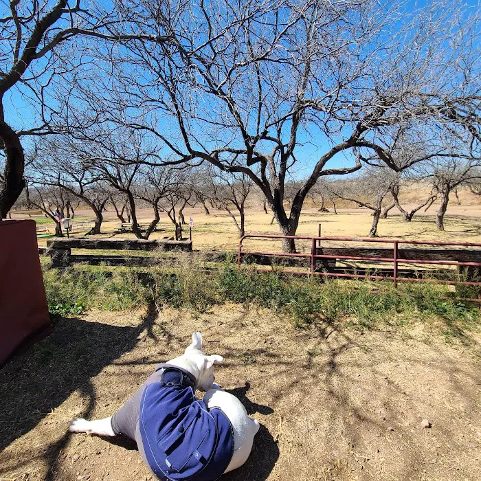 Mesquite Ranch Campground 4