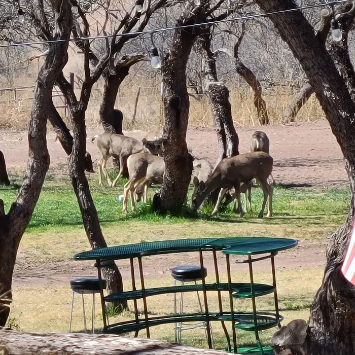 Mesquite Ranch Campground 8