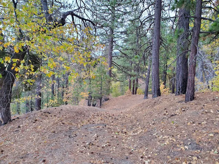 Twin Pines Campground 7