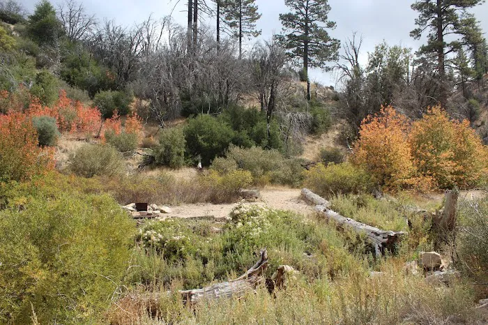 Little Mutau Campground 0