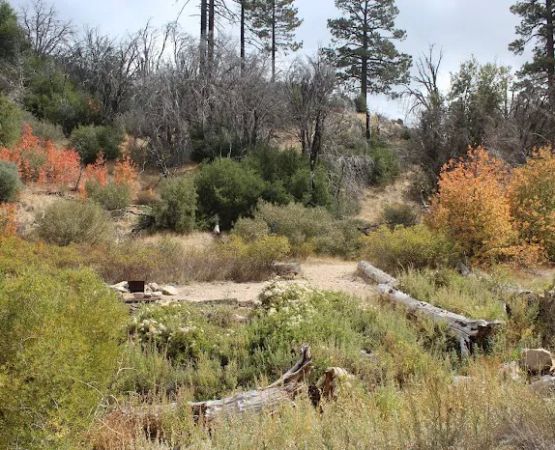 Little Mutau Campground