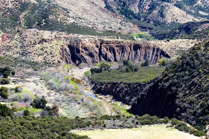 Sespe Hot Springs Palm Camp 6