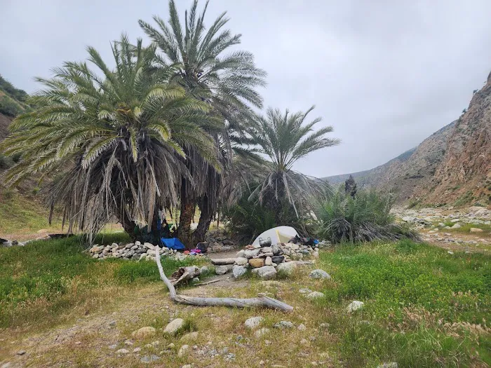 Sespe Hot Springs Palm Camp 9