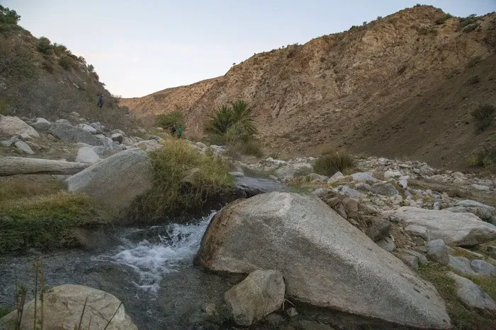 Sespe Hot Springs Palm Camp 8